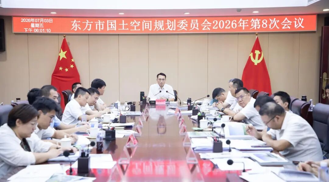 东方市国土空间规划委员会2026年第8次会议现场